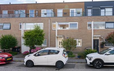 Roemer Viss. 43