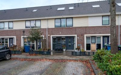 Willem Kloo. 15