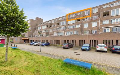 Harderwijko. 95
