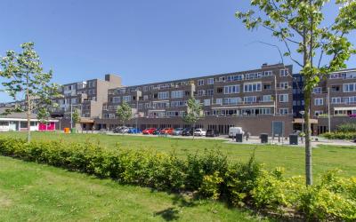 Harderwijko. 141