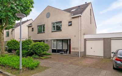 Esdoornplan. 106