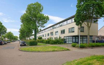 Esdoornplan. 122