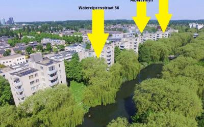 Watercipres. 56