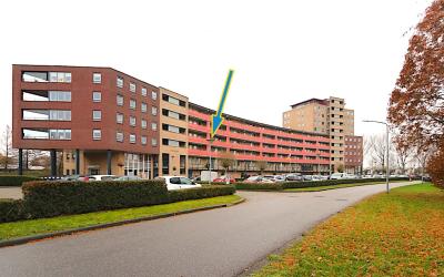 Vincent van. 200