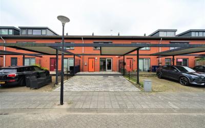 Woestduijns. 12