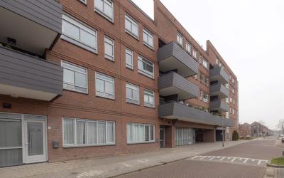 Daan Hoekse. 79