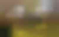 Ambt. Dorknoperlaan 53