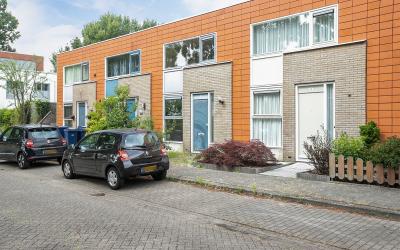Dwergkonijn. 28