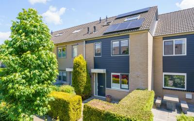 Buffelstraat 6
