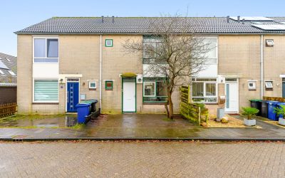Lenteklokje. 3