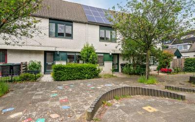 Dotterbloem. 7