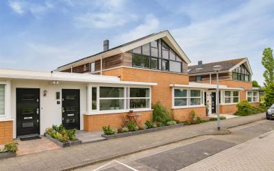 Paardebloem. 18