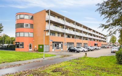 Passiebloem. 33
