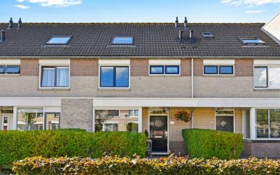 Lupinestraat 9