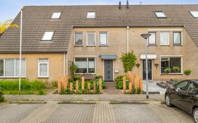 Hortensiast. 10