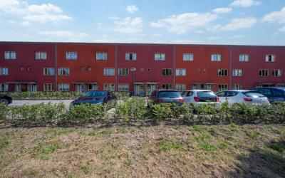 Scharlakens. 59