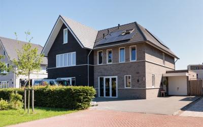 Zilvermeeuw. 6