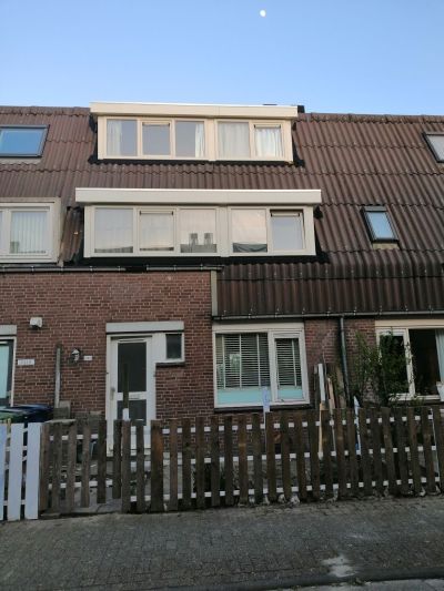 Bosgouw 240
