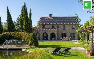 Hoge Bergse. 6