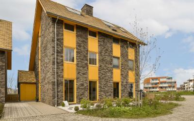 Noorderduin. 233