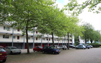 Sinnigvelde. 175