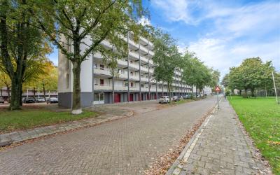 Sinnigvelde. 287