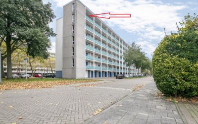 Sinnigvelde. 593