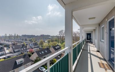 Sinnigvelde. 595