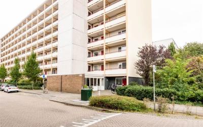 Gemeenschap. 609