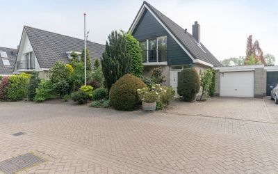 Kooikerboog 2