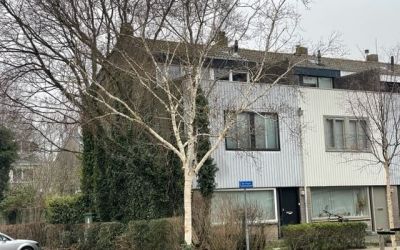 de Fluit 41
