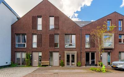 Cornelis Kr. 24