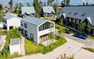 IJsvogel 6