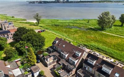 Zilvermeeuw 3