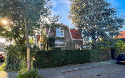 Boerhaavela. 19