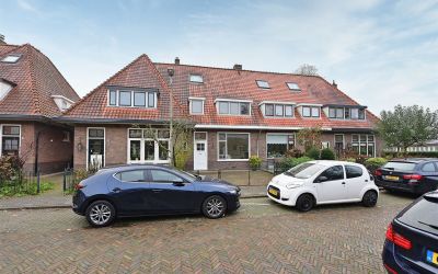 Boerhaavela. 31