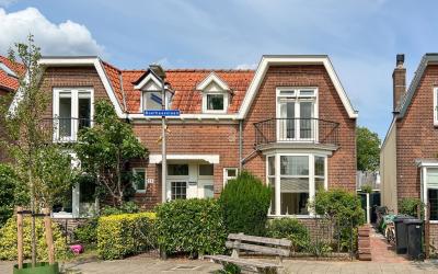 Boerhaavela. 26