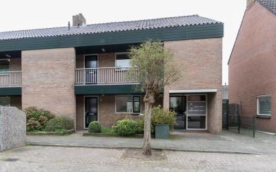 De Berken 47