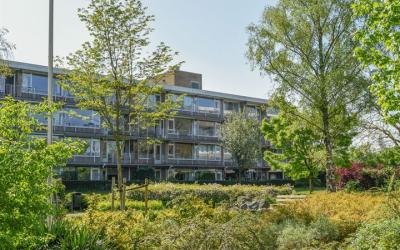 Lijsterlaan 195