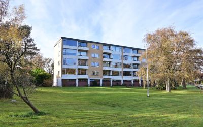 Koekoeklaan 61