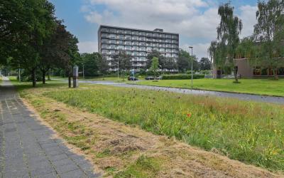 Aagje Deken. 117