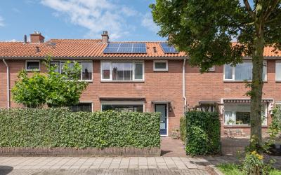 Willem Bare. 5