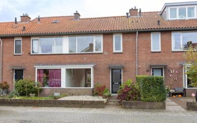 Stuyvesants. 28
