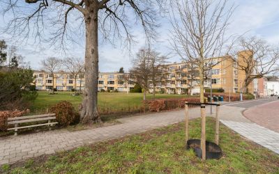 Oranjepark 16