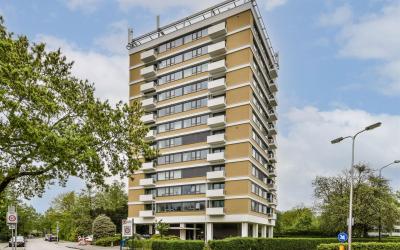 Graaf Wille. 137