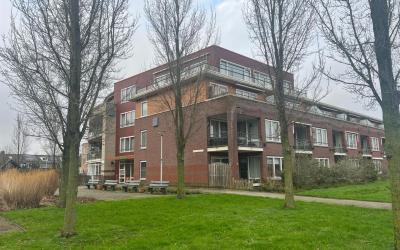 Karel van M. 123