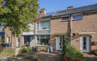 Constantijn. 37