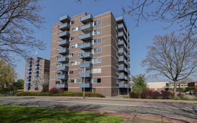Boterbloem 73