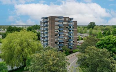 Boterbloem 83