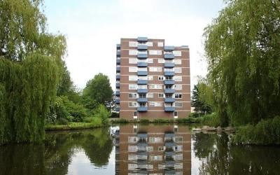 Bijvoet 42